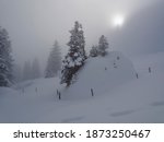Snow-covered cattle fence and snow-covered fir trees in the fog