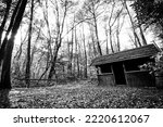 Old wooden hut ruins in foggy...