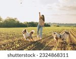 happy young woman playing with her dogs outdoors in the countryside