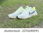 Small photo of Bangkok,Thailand - 15 Oct, 2023: Closeup to Nike pegasus 39 ruuning shoes on grass