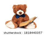 Small photo of Stuffed teddy bear with book isolated, preschool or kindergarten studying. Plush doll reading fairy tales and stories from textbooks. Intelligent smart cuddly toy with blue bow. Hobbies and relaxation