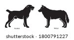 alabai  central asian shepherd... | Shutterstock .eps vector #1800791227