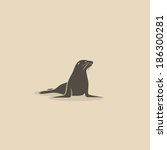 Sea Lion   Vector Illustration
