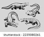 Set Of Crocodile Hand Drawn