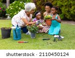 Small photo of African american senior woman teaching gardening to grandchildren and daughter at backyard. family, love and togetherness concept, unaltered.