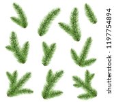 fir tree branch isolated ... | Shutterstock .eps vector #1197754894