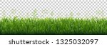 green grass border with... | Shutterstock .eps vector #1325032097