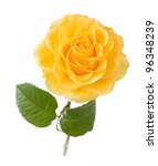 Yellow Rose With Leaves...