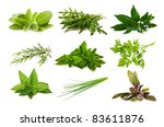 mix aromatic herbs isolated on... | Shutterstock . vector #83611876