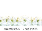 blooming tree in spring... | Shutterstock . vector #273644621