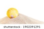 Yellow Sea Shell In Sand Pile...
