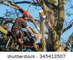 Tree surgeon hanging from ropes in the crown of a tree using a chainsaw to cut branches down.  The adult male is wearing full safety equipment.  Motion blur of chippings and sawdust.