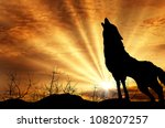 Wolf Howling At The Sunset