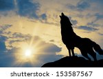  Wolf Howling At The Sunset