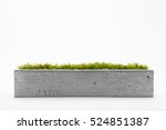 Rectangular pots of concrete with a white background