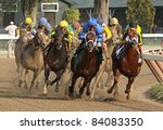 Small photo of SARATOGA SPRINGS, NY -SEPT 3: Jackson Bend (Corey Nakatani up, maroon cap) emerges from the pack to win The Forego Stakes at Saratoga Race Course on Sept 4, 2011 in Saratoga Springs, NY.