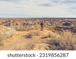 Small photo of Lone man looking at the view of Alberta Dinosaur Provincial Park, Alberta, Canada