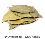 Bay laurel leaves on white