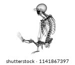 x ray human body 3d render | Shutterstock . vector #1141867397