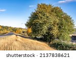 Scenic Autumn Landscape With A...