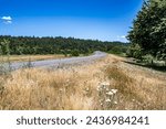 Small photo of Landscape with a gorgeous winding road strewed with fine gravel passing through a meadow and tucking into a hill overgrown with forest with green summer trees in Columbia River Gorge