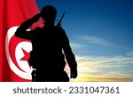Small photo of Tunisia flag with a soldier against the sunset. Concept - Armed Forces of Tunisia