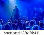 Small photo of Back view of crowd of unrecognizable people dancing with raised arms while standing near stage during concert of male singer and musician in club