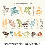 vector set of hand drawn spices ... | Shutterstock .eps vector #400757824