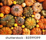 Autumnal Pumpkins  Harvest