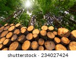Wooden Logs With Forest On...