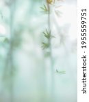 Small photo of Abstract natural out of focus background, Frosted glass window view with outside bamboo garden make blurry effect green bamboo leaf, Dramatic Zen concept image.