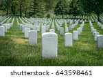 White Grave Sites At The...