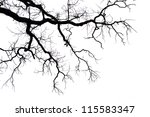 Leafless Branches Isolated On...