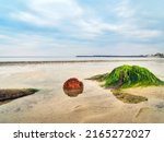 A Seascape At Low Tide With An...