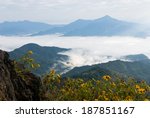 Doi Pha Tang The Misty Mountain ...