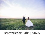 Bride and groom walking and holding hands on a meadow. Wide angle sunset photo.