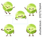 cartoon green cabbage character ... | Shutterstock .eps vector #1927176644