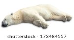 One Polar Bear Sleeps On A...