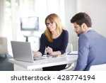 Portrait of investment advisor businesswoman sitting at office in front of computer and consulting with young professional man. 