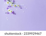 Wild flowers on purple paper...