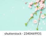branches of blossoming almonds on green background