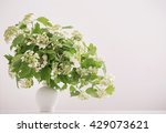 Bouquet In The Vase With White...
