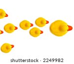 Group A Yellow Rubber Ducks