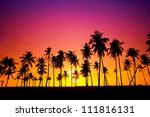 Silhouetted Of Coconut Tree...