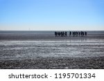 Small photo of Schillig, Germany - September 17, 2018: A school class on an excursion in the wadden sea at ebbtide.