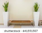 Modern bench and vase of Sansevieria trifasciata plant. The interior decoration in living hall.