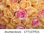 Beautiful Yellow And Pink Roses ...