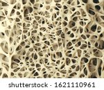 Bone spongy structure close up  ...