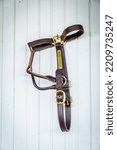 Small photo of Close-up image of a leather bridle or horse halter hanging on a stable wall