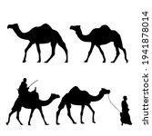 Silhouettes Of Camels With...